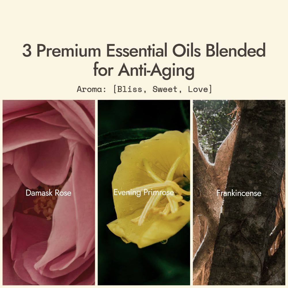 UCNATUREL Vintage Rose Deluxe Face Oil