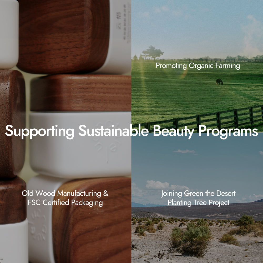 Time Frozen Intense Cream Rose & Frankincense